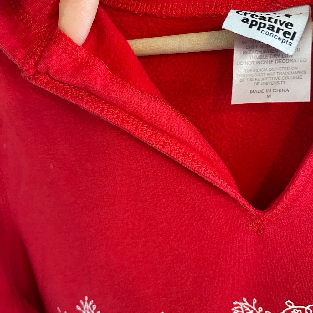 womens Wisconsin Badgers red hoodie sweatshirt, medium - Picture 10 of 12